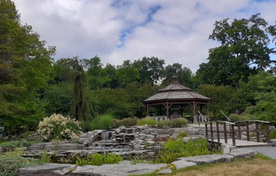 Garden III